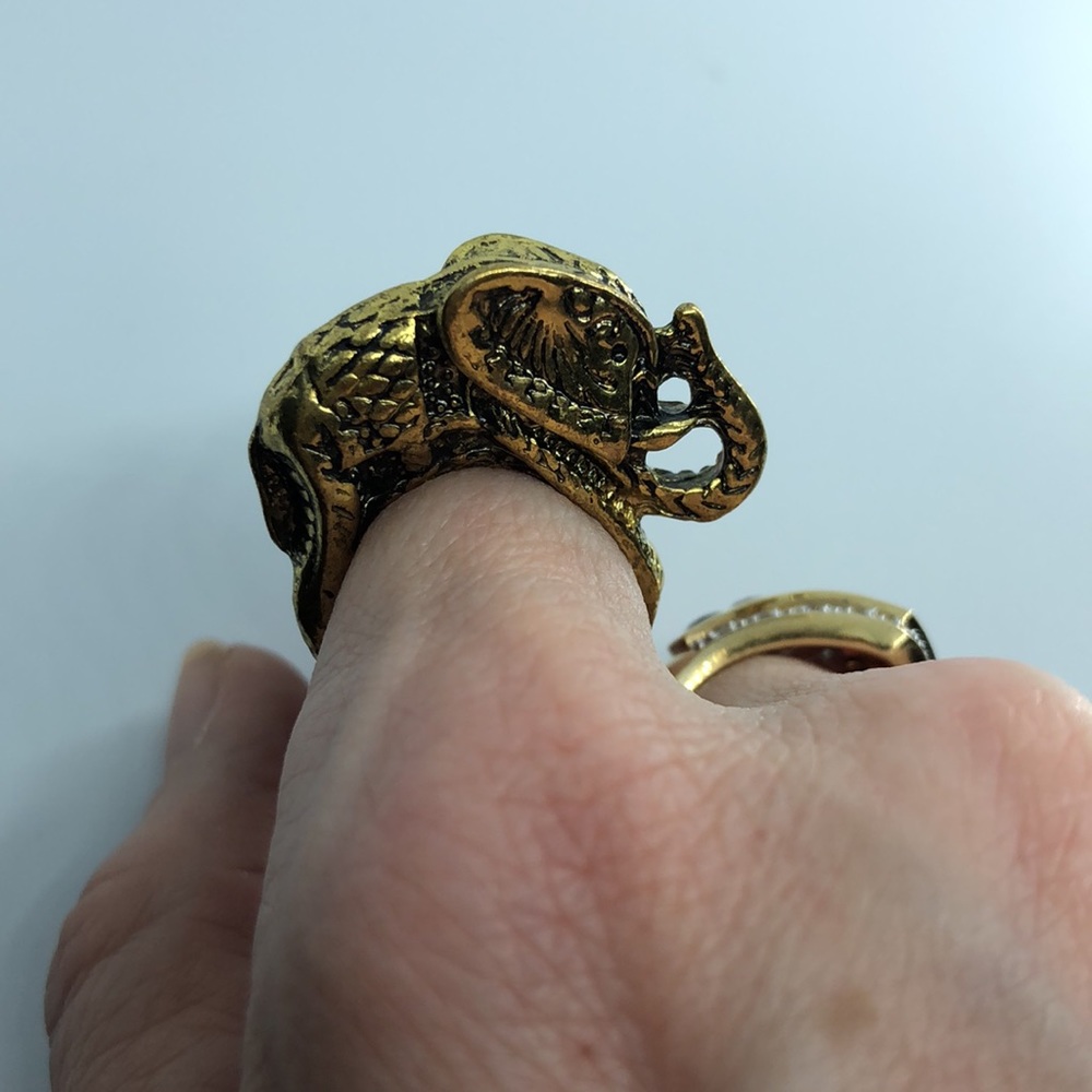 Elephant Ring - image 2